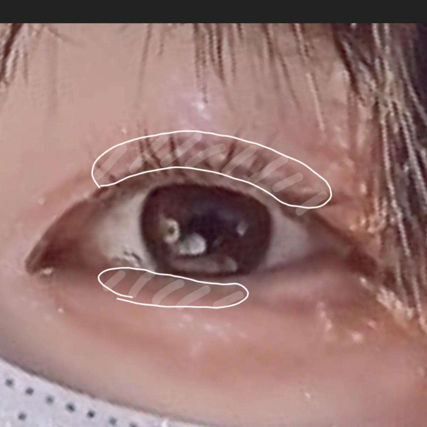 ラスティングマルチアイベース WP/キャンメイク/アイシャドウベースを使ったクチコミ(7枚目)