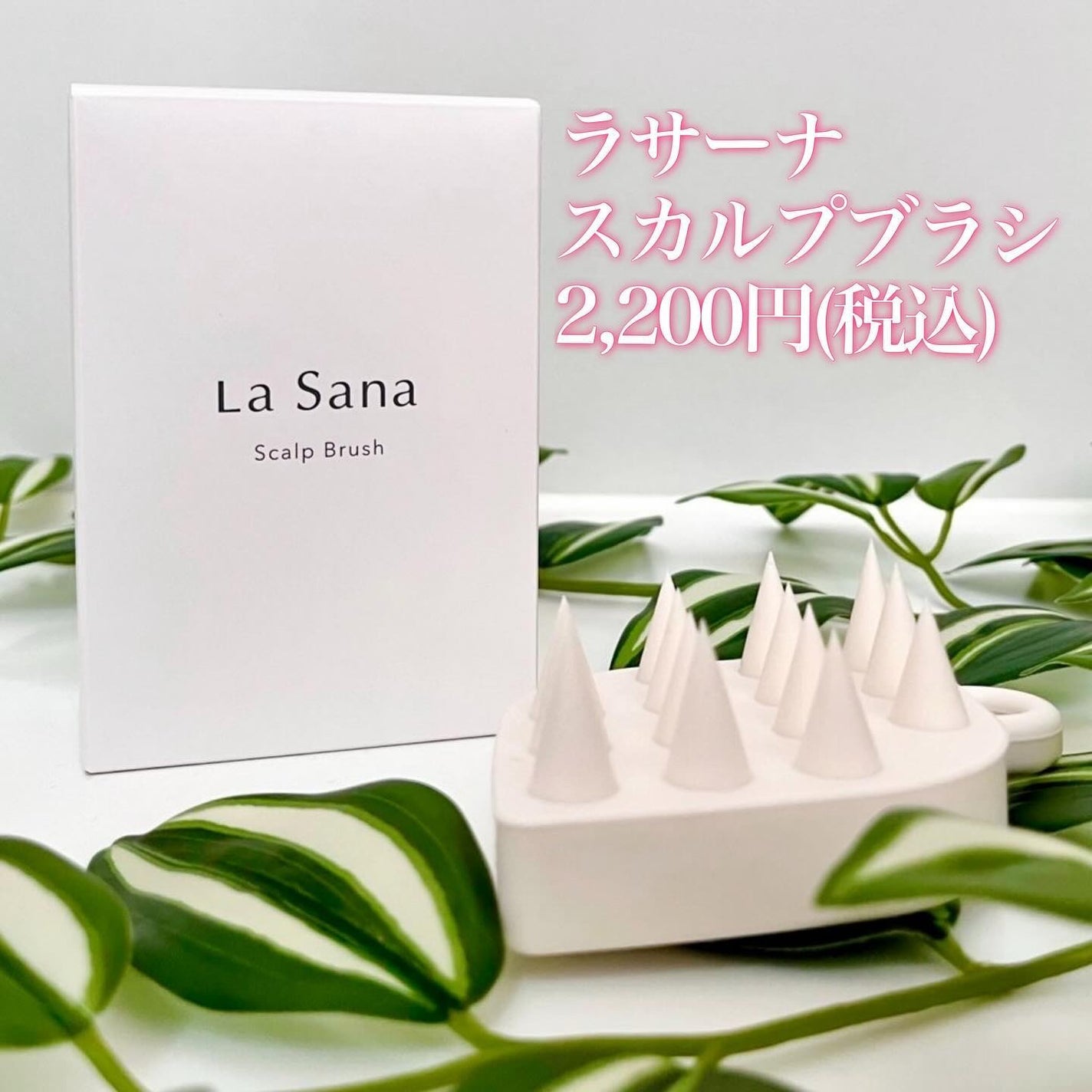 スカルプブラシ/ラサーナ/スカルプブラシを使ったクチコミ(2枚目)