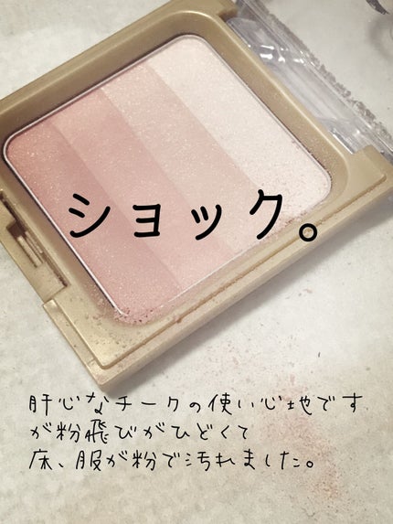 グラデーションチーク N/excel/パウダーチークを使ったクチコミ(3枚目)