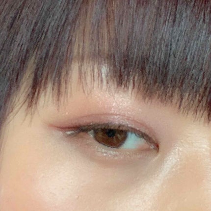 ナイストゥミーチュートランク/MAJOLICA MAJORCA/アイシャドウパレットを使ったクチコミ(2枚目)