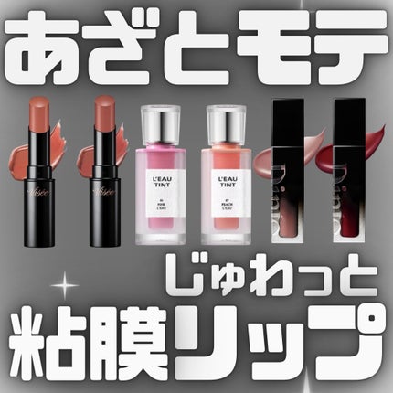 ブラーグロイリップティント/Dinto/リップティントを使ったクチコミ(1枚目)