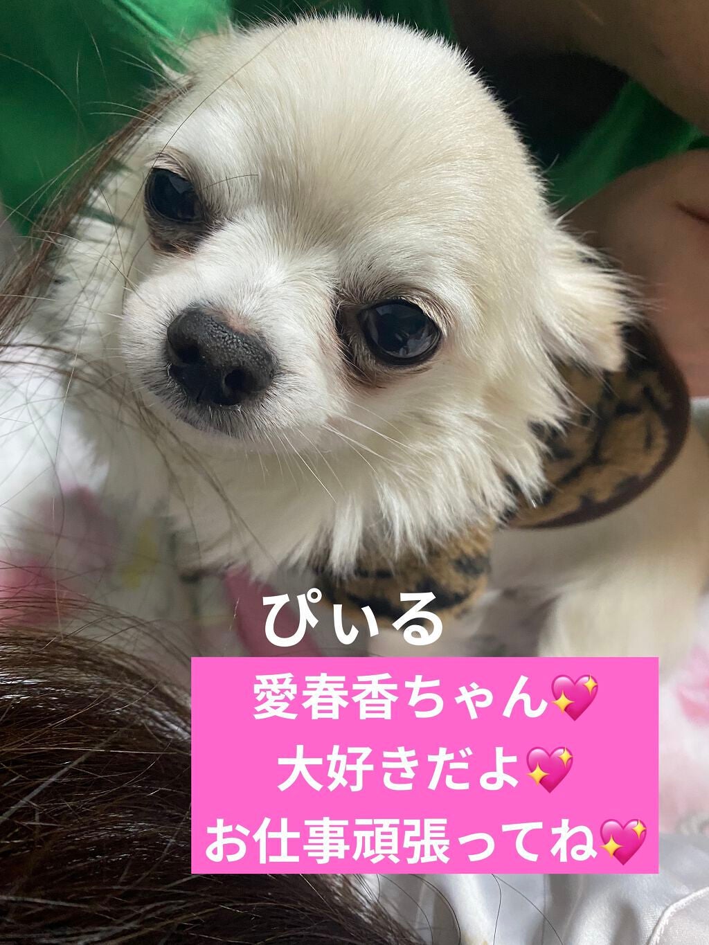 カラフルネイルズ/キャンメイク/マニキュアを使ったクチコミ(6枚目)