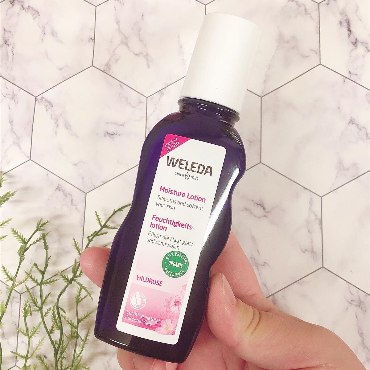 ワイルドローズ モイスチャーローション/WELEDA/化粧水を使ったクチコミ(2枚目)