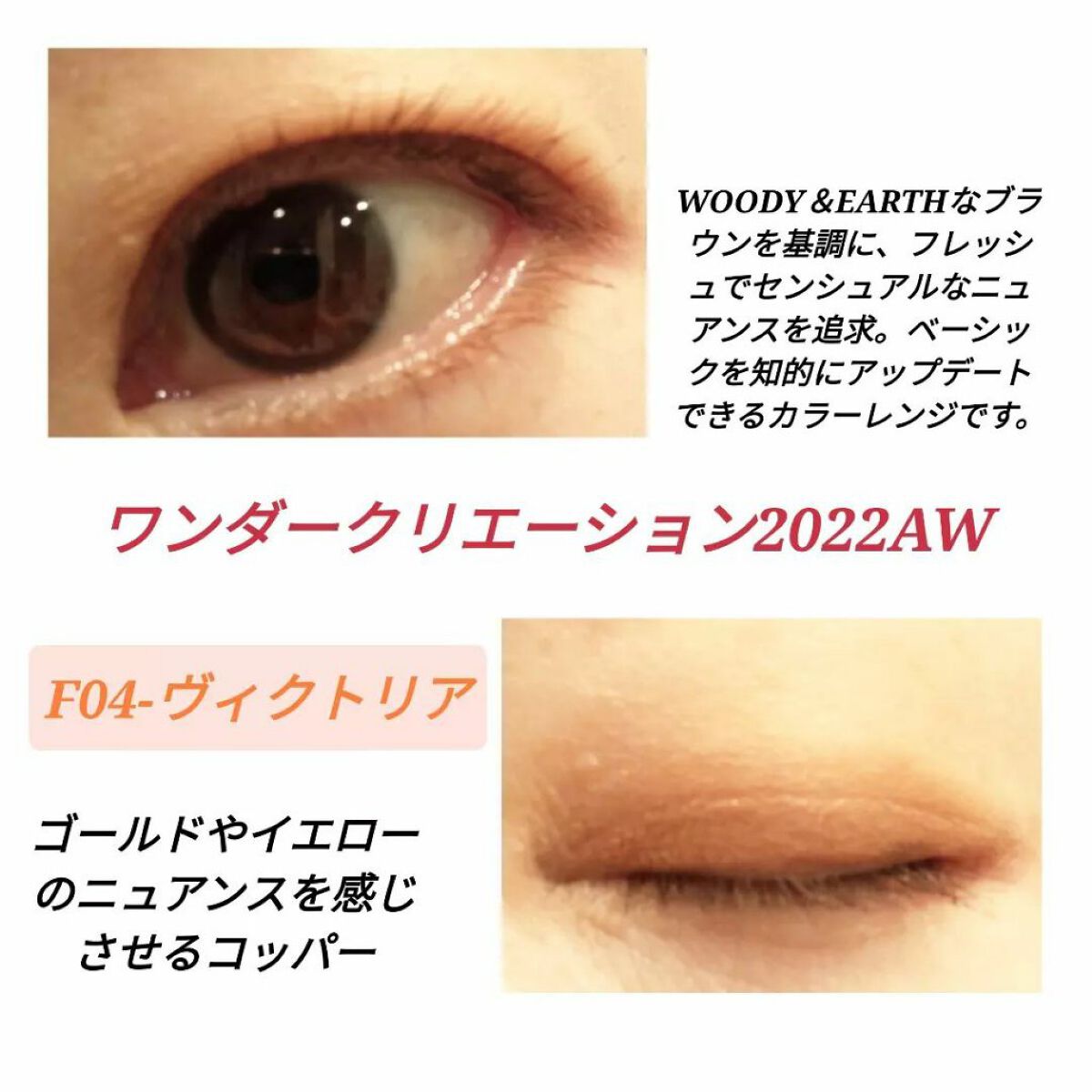 ワンダークリエイション /ブリリアージュ/単色アイシャドウを使ったクチコミ(3枚目)