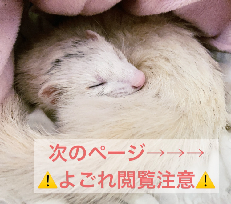 水まわり用 輝き洗剤キーラ/輝き洗剤キーラ/その他を使ったクチコミ（3枚目）