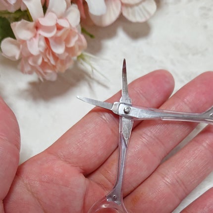 ir_uuy on LIPS 「株式会社グリーンベル様よりステンレス製眉カットはさみお試しさせ..」(4枚目)