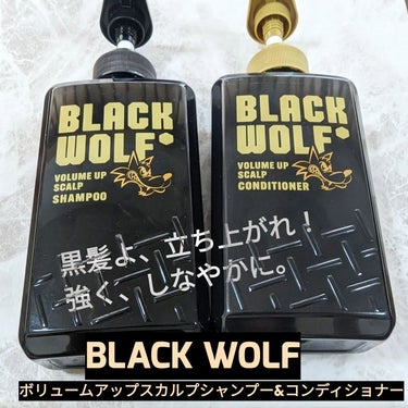 大正製薬 ブラックウルフ　ボリュームアップスカルプシャンプーのクチコミ「大正製薬
BLACK WOLF
ボリュームアップスカルプシャンプー&ボリュームアップスカルプコ.....」（1枚目）