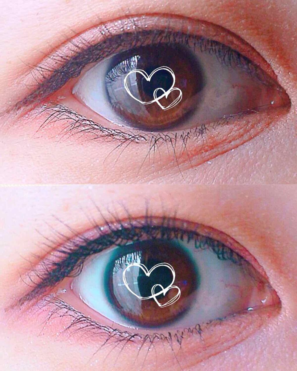 ラッシュティント/MAJOLICA MAJORCA/マスカラを使ったクチコミ（2枚目）