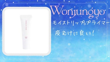ウォンジョンヨ モイストリッププライマー　/Wonjungyo/リップケア・リップクリームを使ったクチコミ（1枚目）