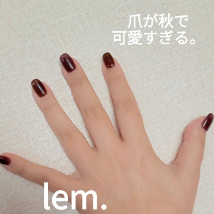 #秋色ネイル,#ブラウンネイル,#ぶどう色ネイルのネイルデザイン