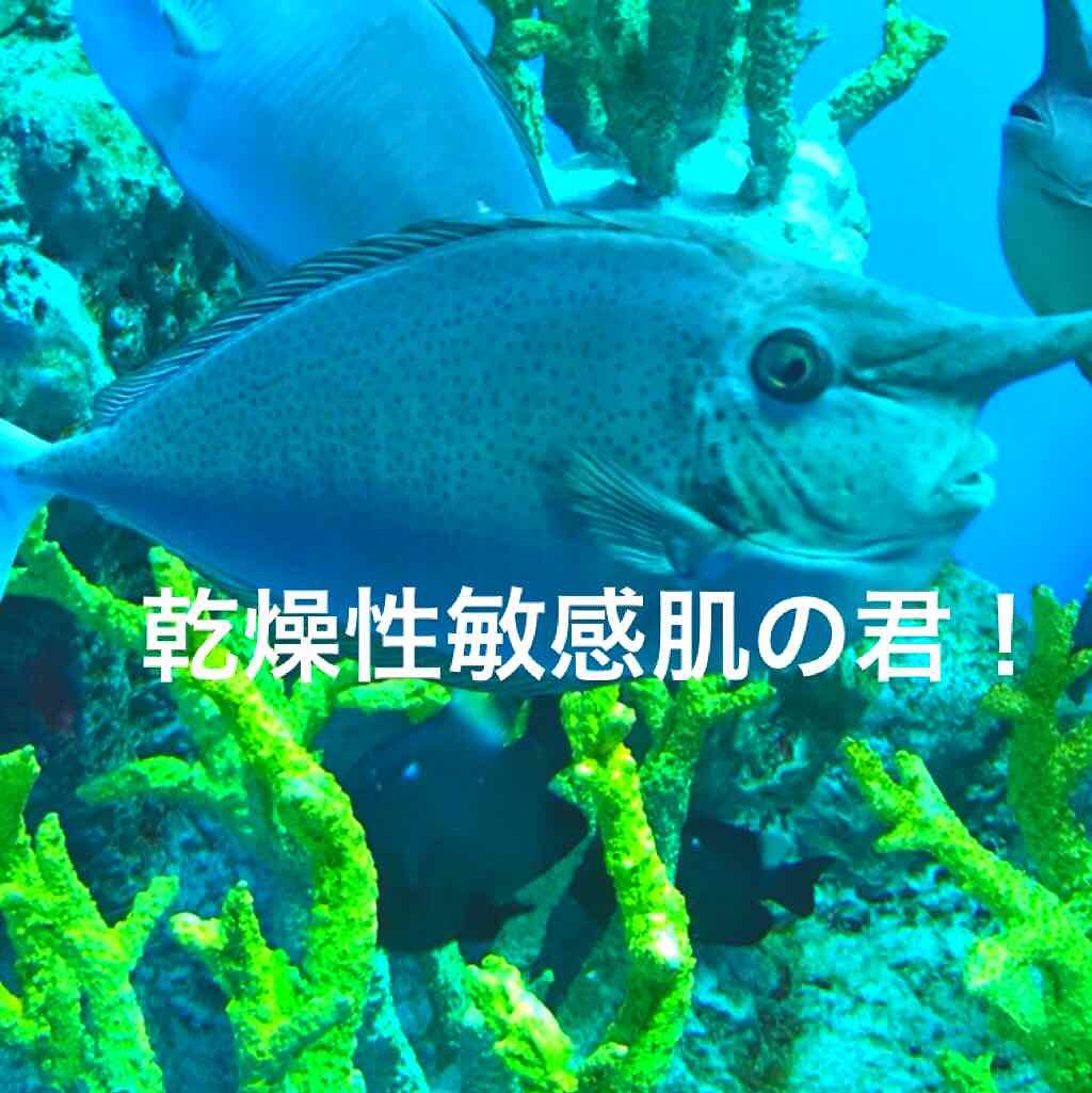 オリジナル ピュアスキンジェリー/ヴァセリン/ボディクリームを使ったクチコミ（1枚目）