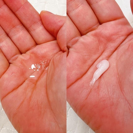 リフレッシュモーメントパフュームシャンプー/トリートメント Jeju Camellia/Free Moment /市販シャンプーを使ったクチコミ(2枚目)