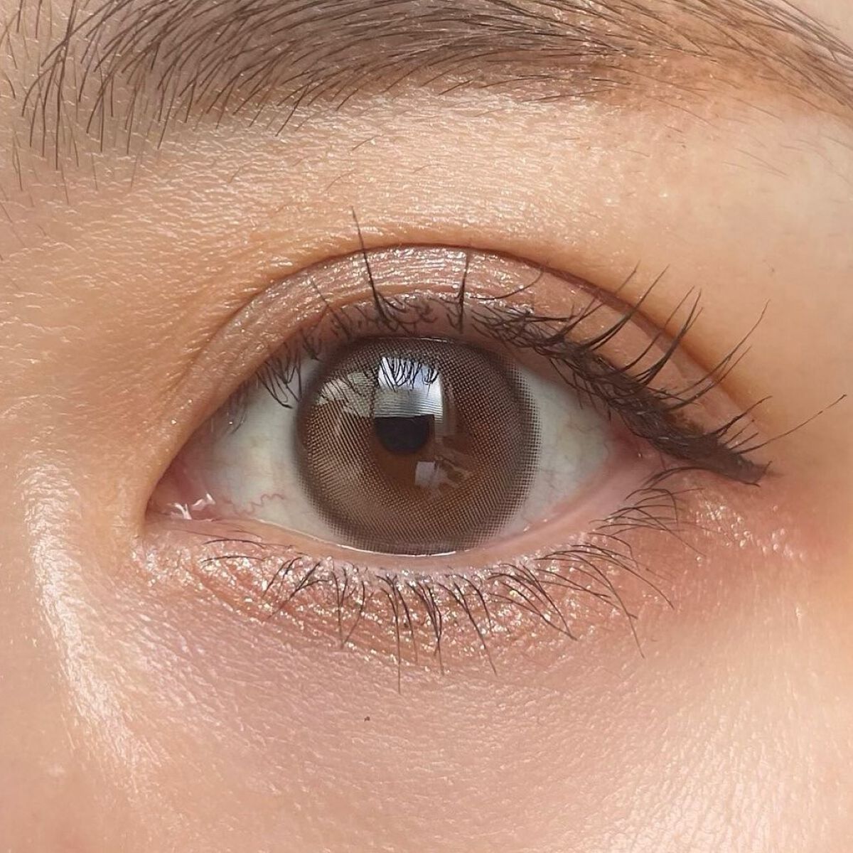 ピュアリティーシャインワンデー(PURITYSHINE 1day)/OLOLA/ワンデー(1DAY)カラコンを使ったクチコミ(4枚目)