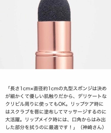 美的 美的 2020年3月号のクチコミ「

美的 3月号付録
神崎恵さん監修  美リップ養成ブラシ


筆とチップがついているリップブ.....」（3枚目）