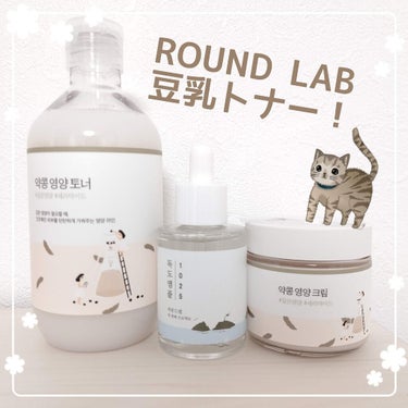 薬豆栄養トナー ROUND LAB