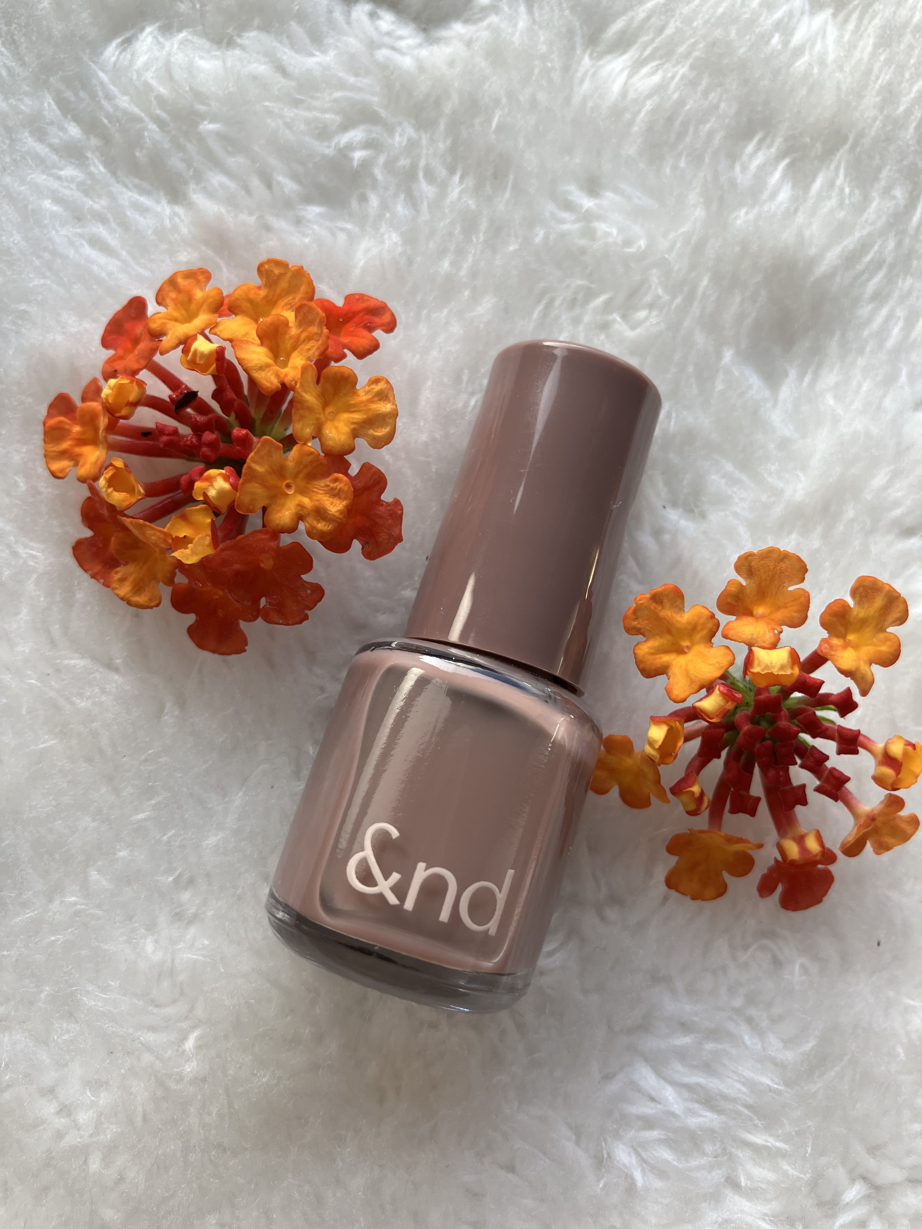 アンドバイロムアンド　グラッシードロップネイル VI01 ミルクベリー/&nd by rom&nd/マニキュアを使ったクチコミ（1枚目）