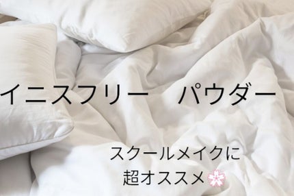 ノーセバム ミネラルパウダー/innisfree/ルースパウダーを使ったクチコミ(1枚目)