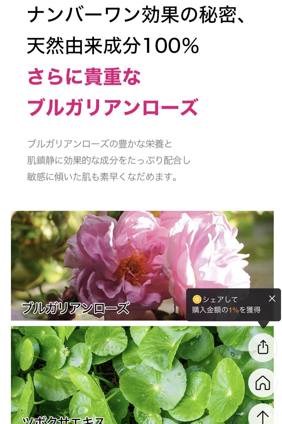 インテンシプエナジャイジングクリーム/ISOI/フェイスクリームを使ったクチコミ（3枚目）