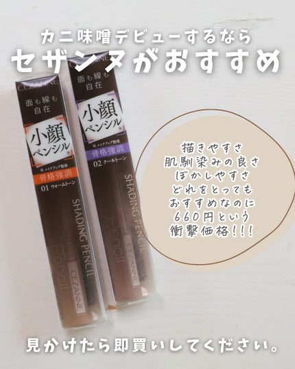 シェーディングペンシル/CEZANNE/ハイライト・シェーディングを使ったクチコミ(7枚目)