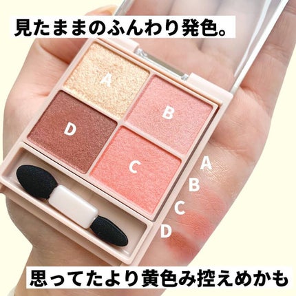 シルキースフレアイズ(マットタイプ)/キャンメイク/アイシャドウパレットを使ったクチコミ(4枚目)