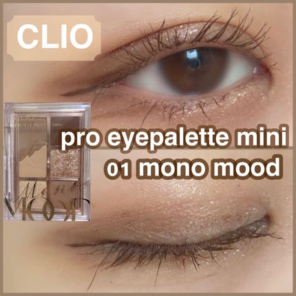 プロ アイパレット ミニ/CLIO/アイシャドウパレットを使ったクチコミ(1枚目)
