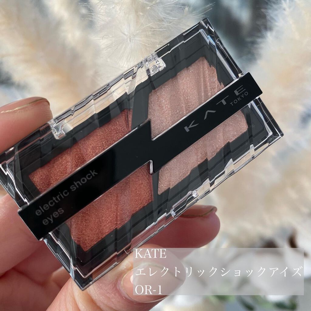 エレクトリックショックアイズ /KATE/アイシャドウパレットを使ったクチコミ（1枚目）