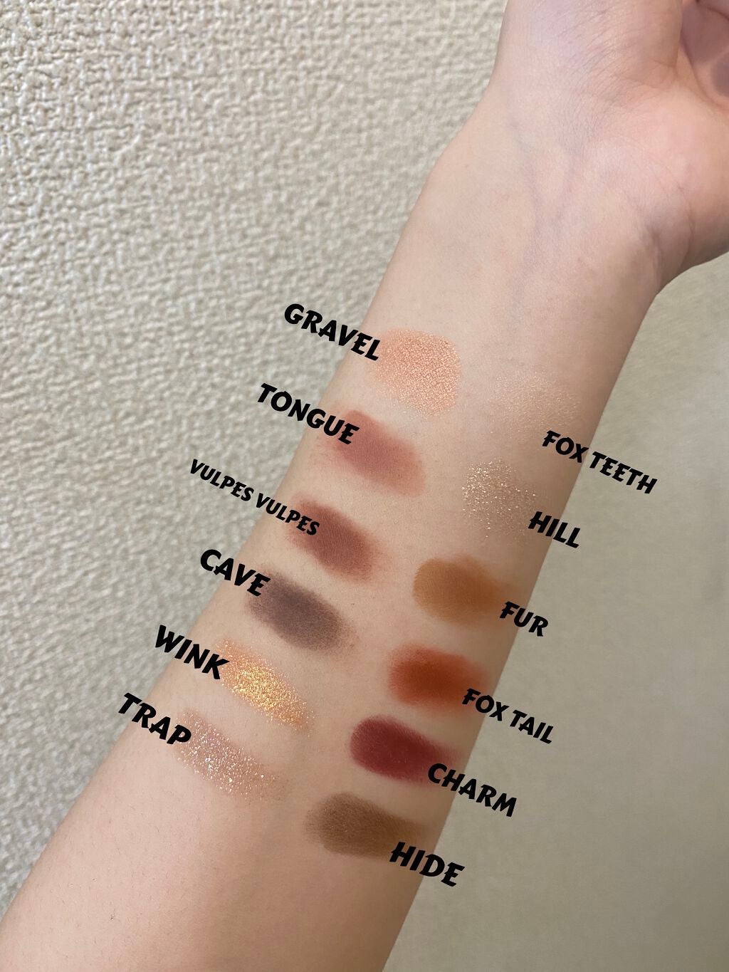 エクスプローラ12色 動物アイシャドウパレット/PERFECT DIARY/アイシャドウパレットを使ったクチコミ(4枚目)