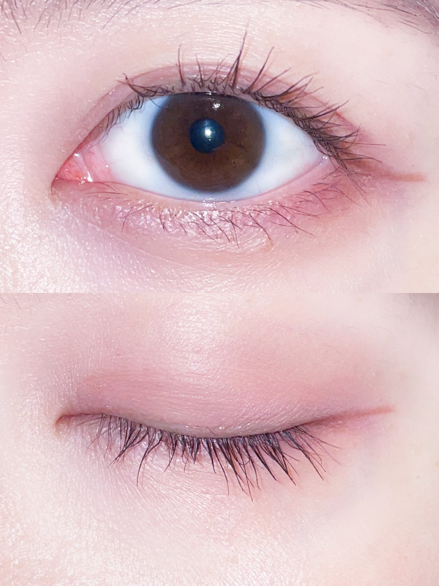 パーフェクトマルチアイズ/キャンメイク/アイシャドウパレットを使ったクチコミ(5枚目)