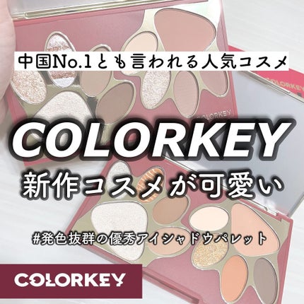 トラ十色アイシャドウパレット/COLORKEY/アイシャドウパレットを使ったクチコミ(1枚目)