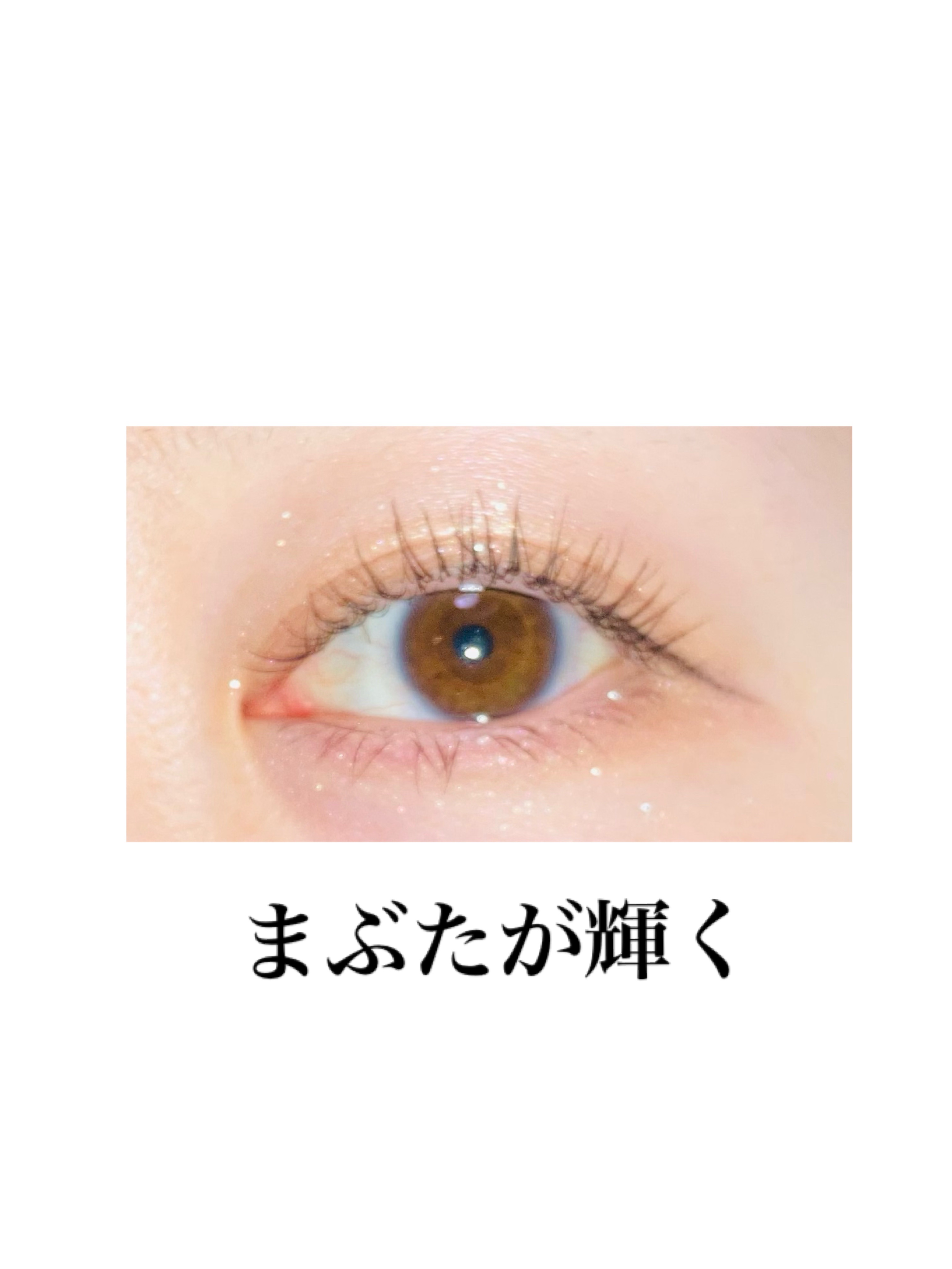 アイカラーレーション/LUNASOL/アイシャドウパレットを使ったクチコミ（3枚目）