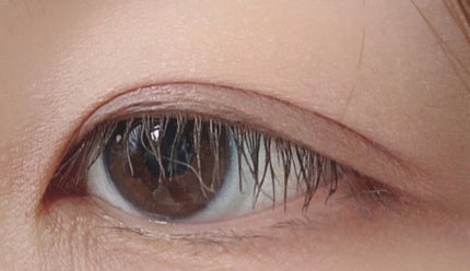 カラーステイ ルックス ブック パレット/REVLON/アイシャドウパレットを使ったクチコミ(2枚目)