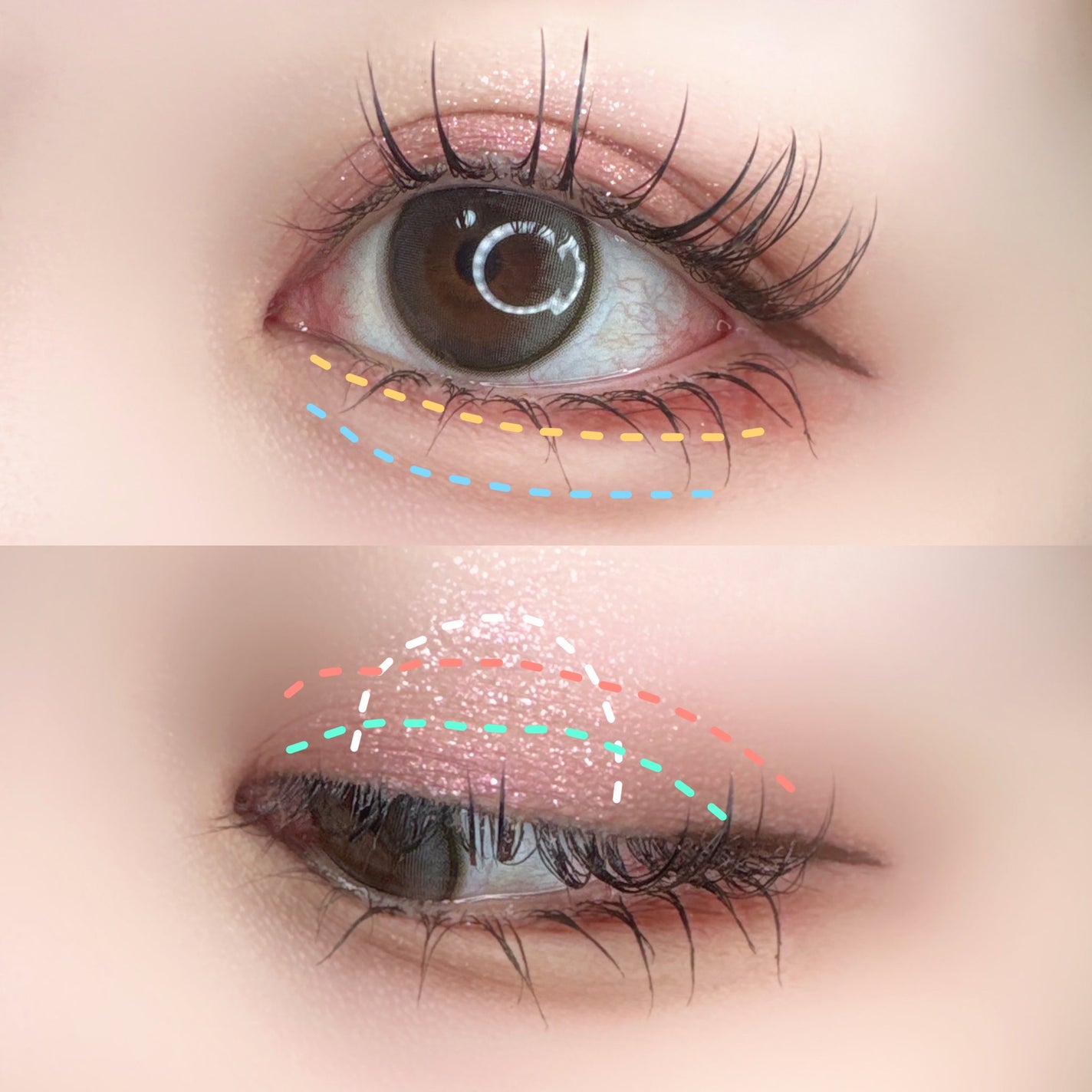 エクスプローラ12色 動物アイシャドウパレット/PERFECT DIARY/アイシャドウパレットを使ったクチコミ(3枚目)