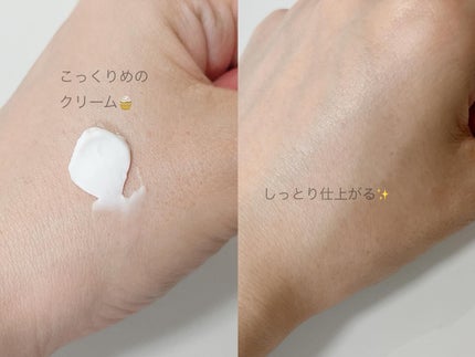 リアルバリア エクストリームクリーム オリジナル/Real Barrier/フェイスクリームを使ったクチコミ(4枚目)