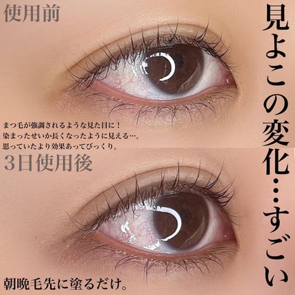 マジックティント/MAJOLICA MAJORCA/マスカラを使ったクチコミ(3枚目)