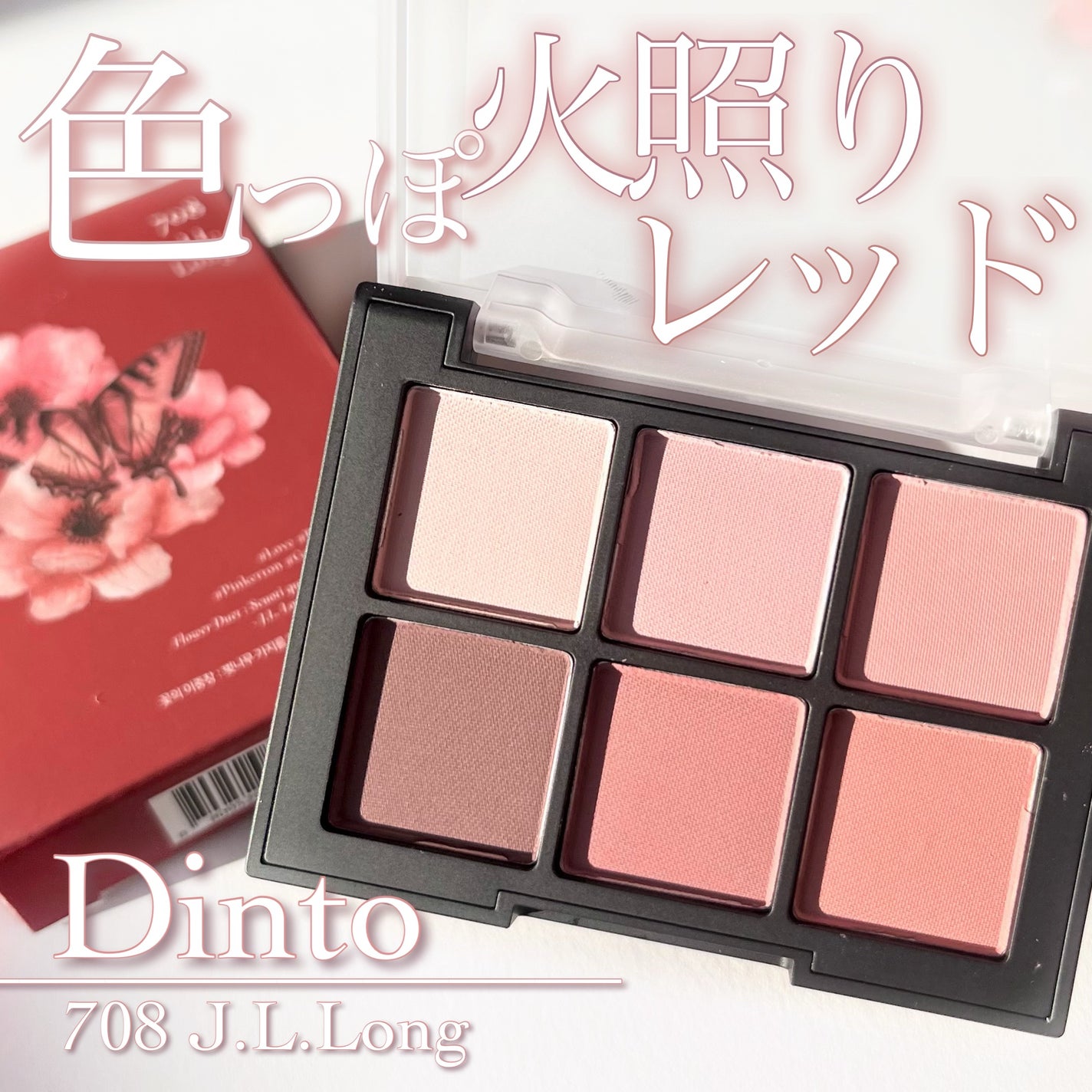 ブラーフィニシュシャドウパレット/Dinto/アイシャドウパレットを使ったクチコミ(1枚目)