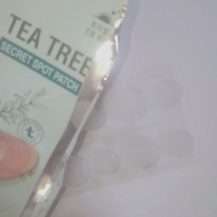 ティーツリーシークレットスポットパッチ/SKINFOOD/にきびパッチを使ったクチコミ(2枚目)