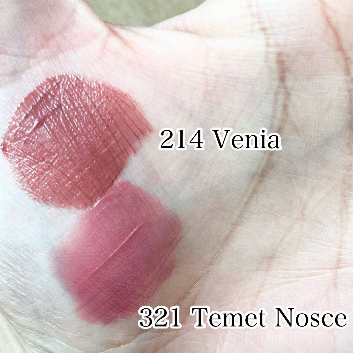 ブラーグロイリップティント 214 ヴェニア/Dinto/リップティントを使ったクチコミ（2枚目）