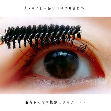 えび松(春br) on LIPS 「THETOOLLAB様より208スクリューブラシアイブロウブ..」(4枚目)