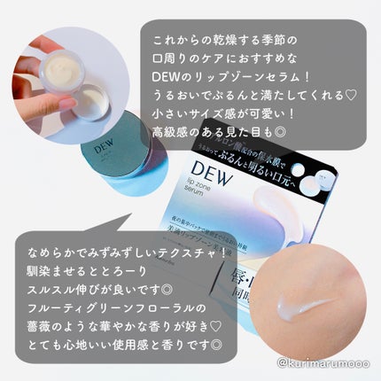 リップゾーンセラム/DEW/リップマスクを使ったクチコミ(2枚目)