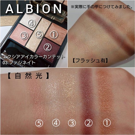 クリエイティブ アイカラー/ALBION/アイシャドウパレットを使ったクチコミ(4枚目)