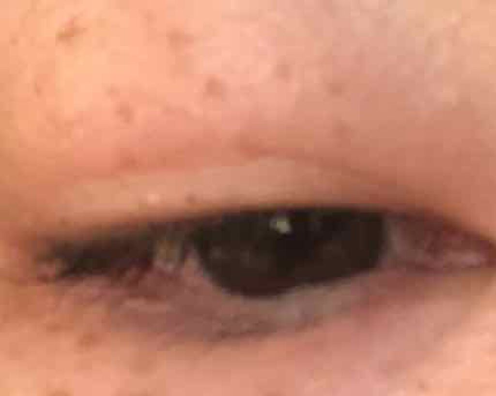 エグータム/アルマダスタイル/まつげ美容液を使ったクチコミ（2枚目）