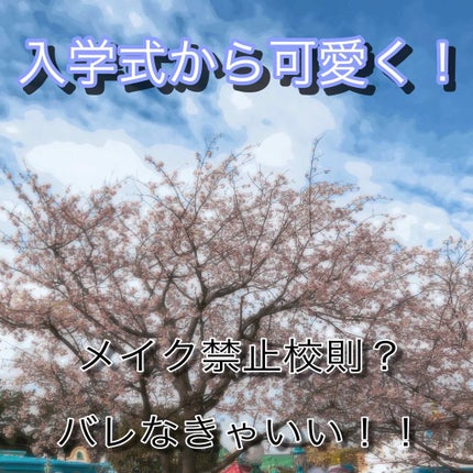 薬用固形パウダー/ピジョン/ボディパウダーを使ったクチコミ(1枚目)