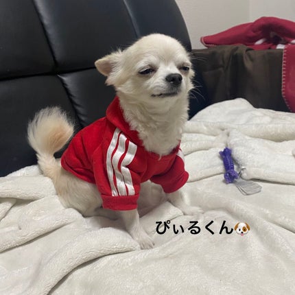 アイ カラー クォード/TOM FORD BEAUTY/アイシャドウパレットを使ったクチコミ(7枚目)