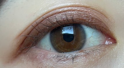 スキニーリッチシャドウ SR12 デニッシュブラウン(限定)/excel/アイシャドウパレットの画像