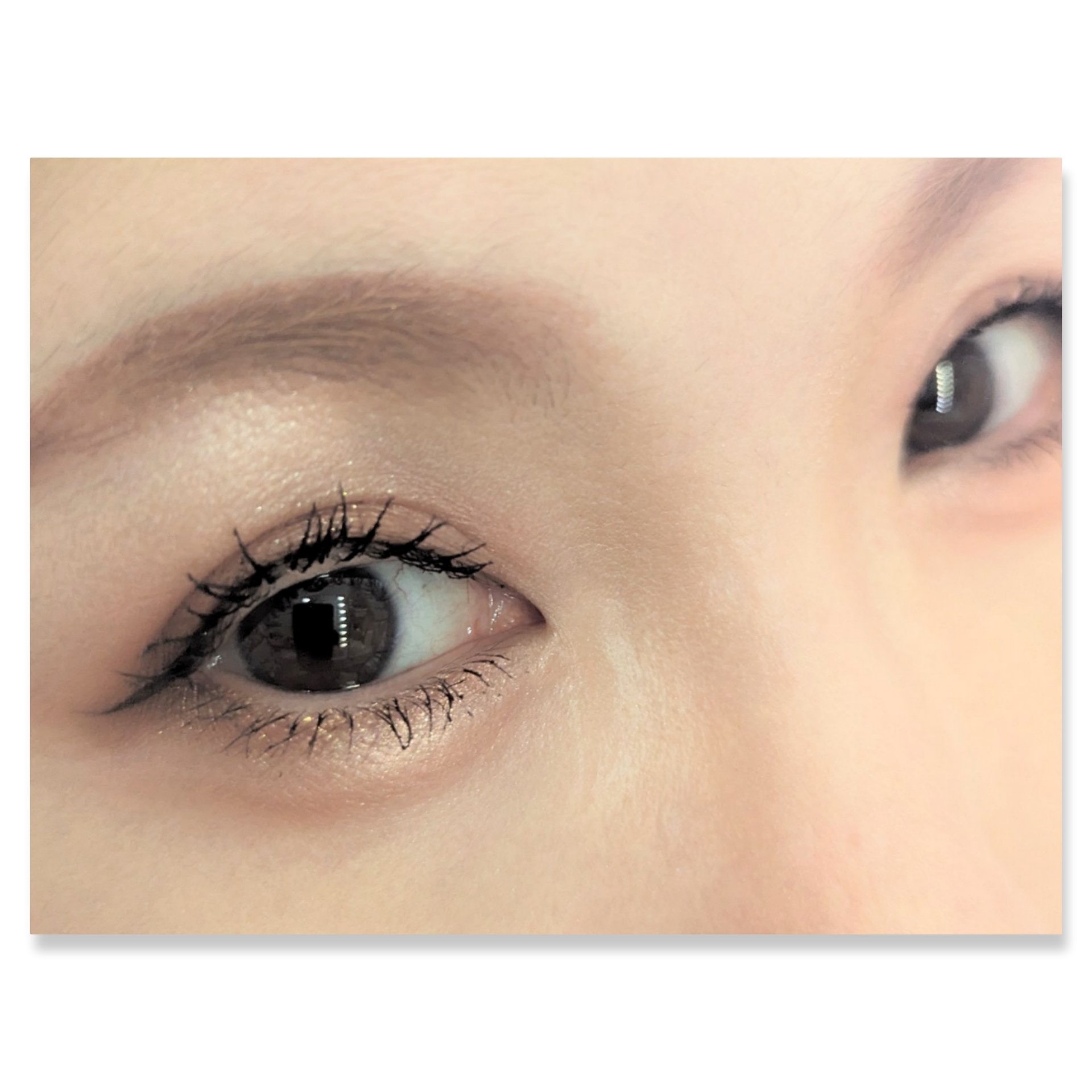 足しパレ/Fujiko/アイシャドウパレットを使ったクチコミ（2枚目）