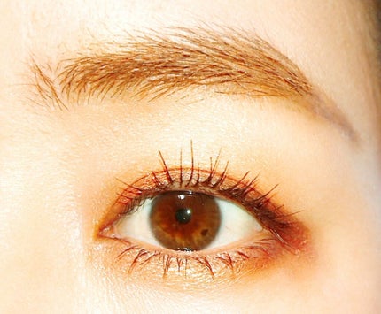 ゴクブトマスカラ/キャンメイク/マスカラを使ったクチコミ(1枚目)