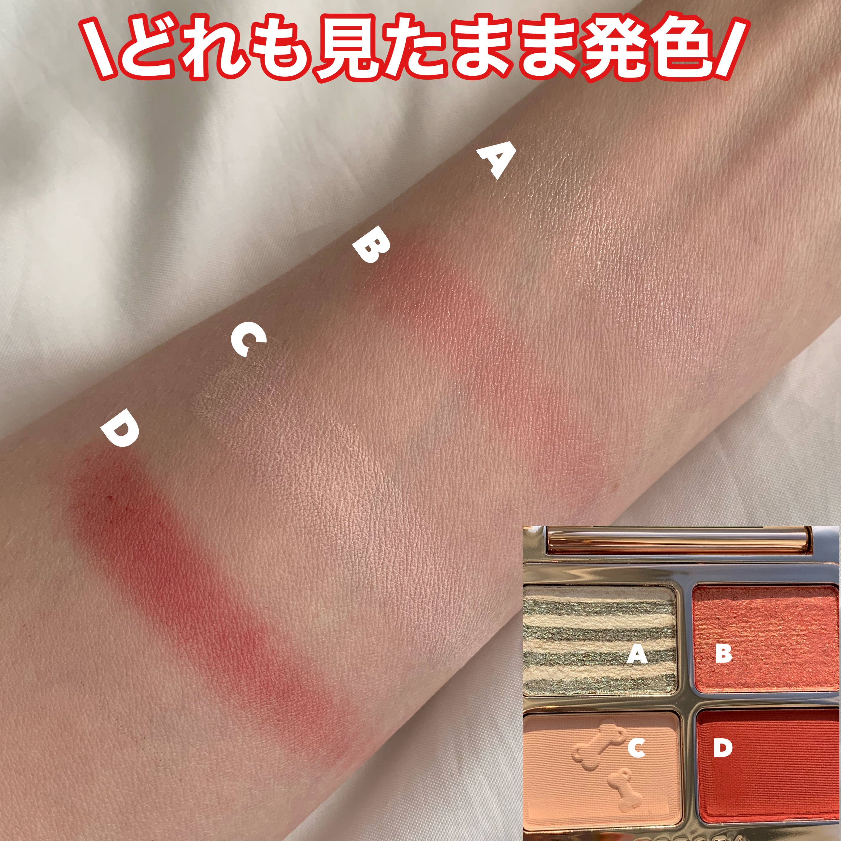 アニマルアイシャドウ(4シェード)/ZEESEA/アイシャドウパレットを使ったクチコミ（3枚目）