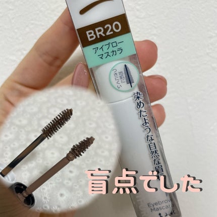 アイブロー マスカラ/ちふれ/眉マスカラを使ったクチコミ(1枚目)