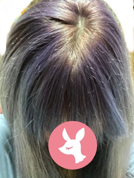 メイクアップカラー ベリーバイオレット/ビューティーン/ヘアカラーの画像