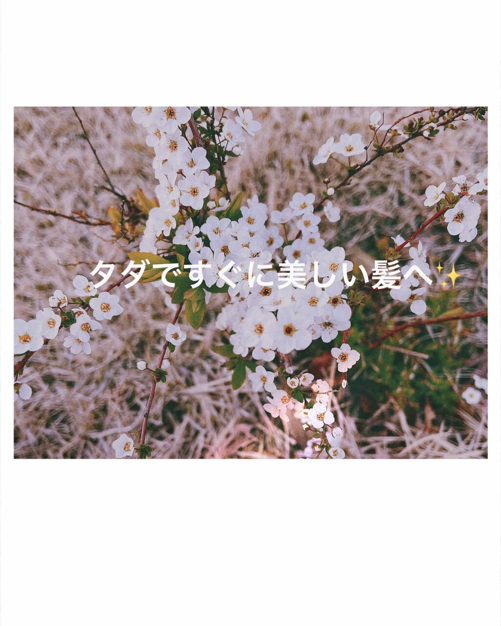 ãããð¿ð¿ð¿ on LIPS ããéãããããããã«ãµã©ãµã©ã«ãªã£ããã¢ã±ã¢ã®æ¹æ³ã玹ä»ããã..ãïŒ1æç®ïŒ